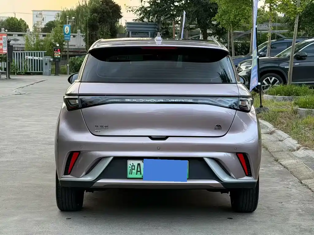 BYD Dolphin 2022