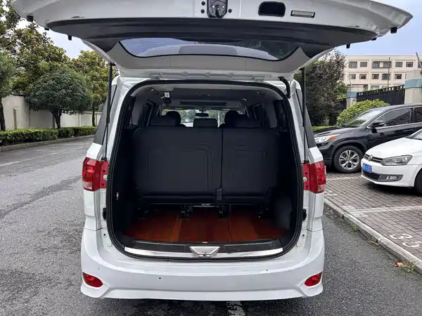 Maxus G10 2019