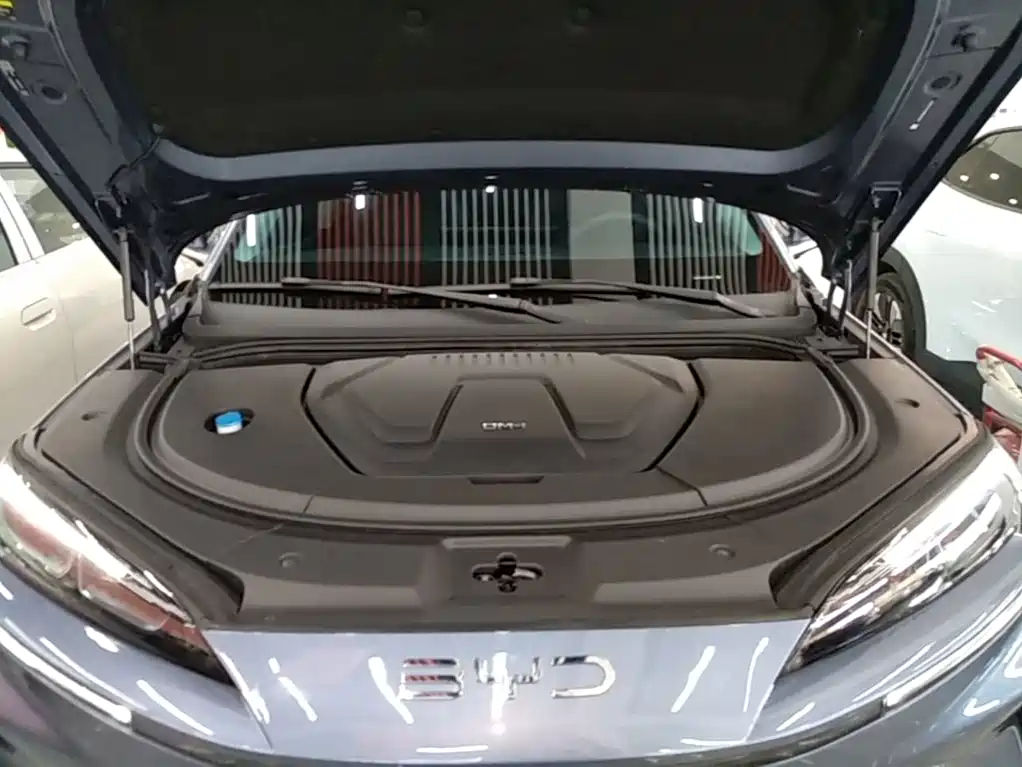 BYD Sealion 07 DM-i 2025 — фото 20