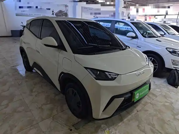 BYD Seagull 2025