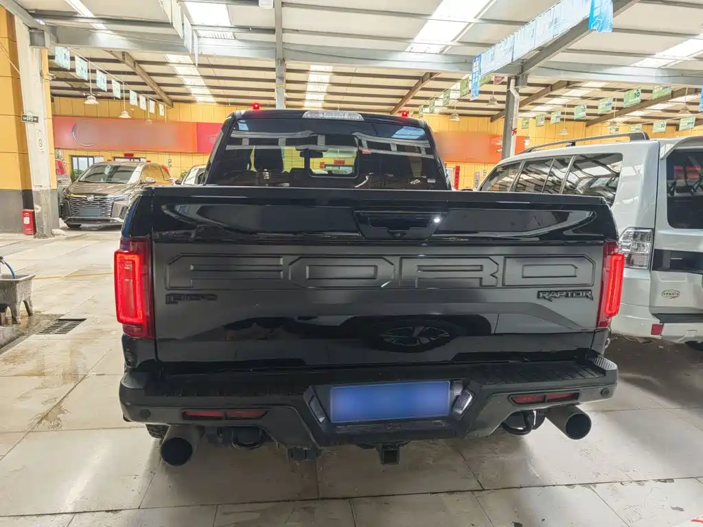 Ford F-150 Raptor 2019 — фото 14