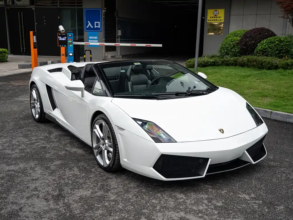 Lamborghini Gallardo 2014 — фото 36