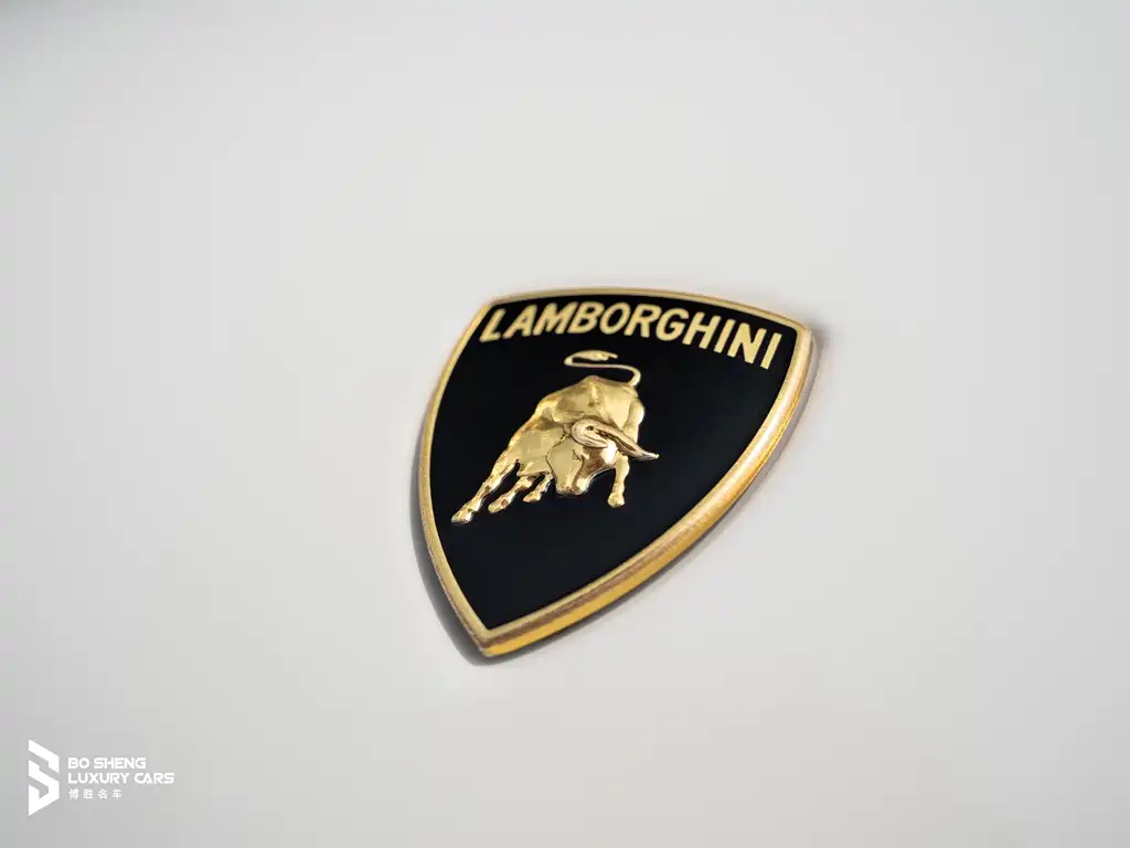 Lamborghini Gallardo 2014 — фото 16