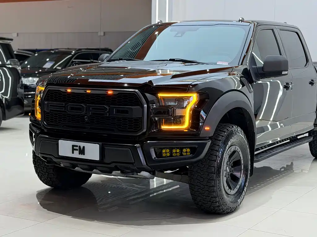 Ford F-150 Raptor 2017 — фото 4