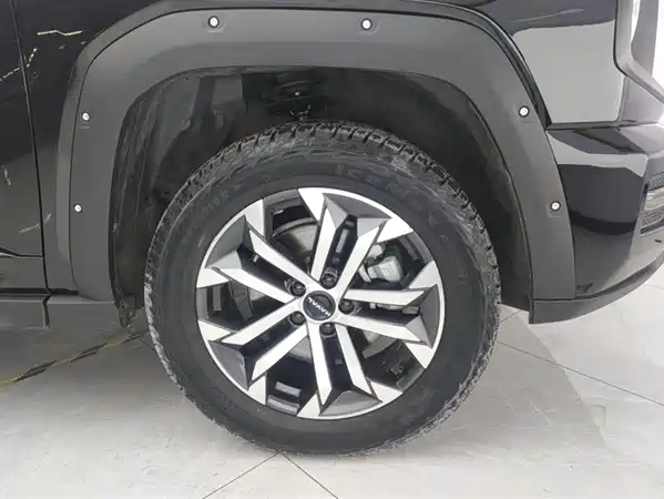 Haval Dog PLUS 2023