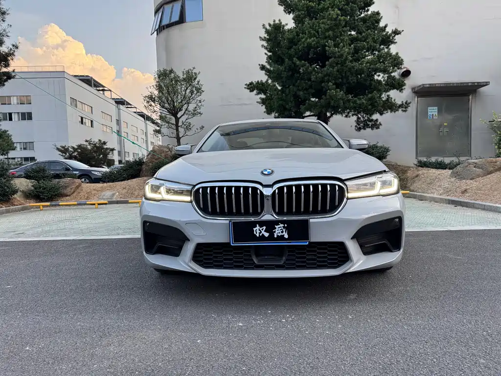 BMW 5 Series 2020