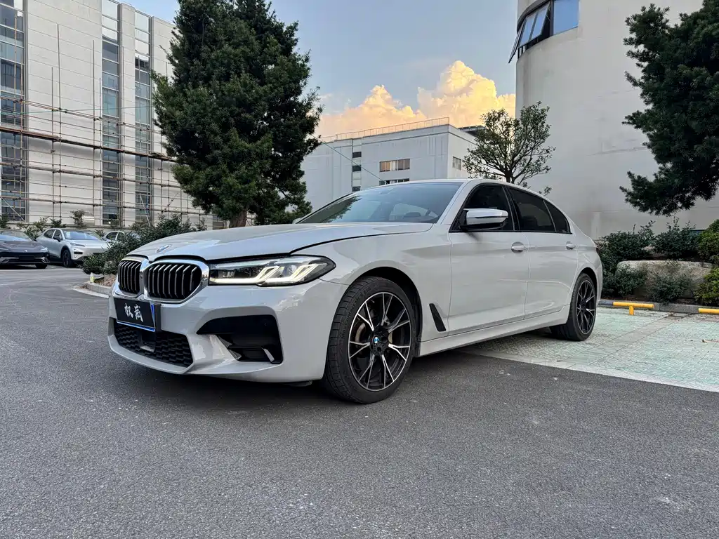 BMW 5 Series 2020