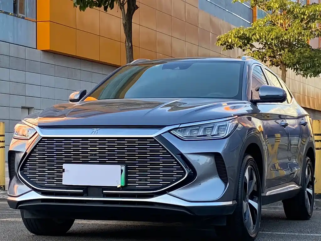 BYD PLUS New Energy 2021 — фото 1