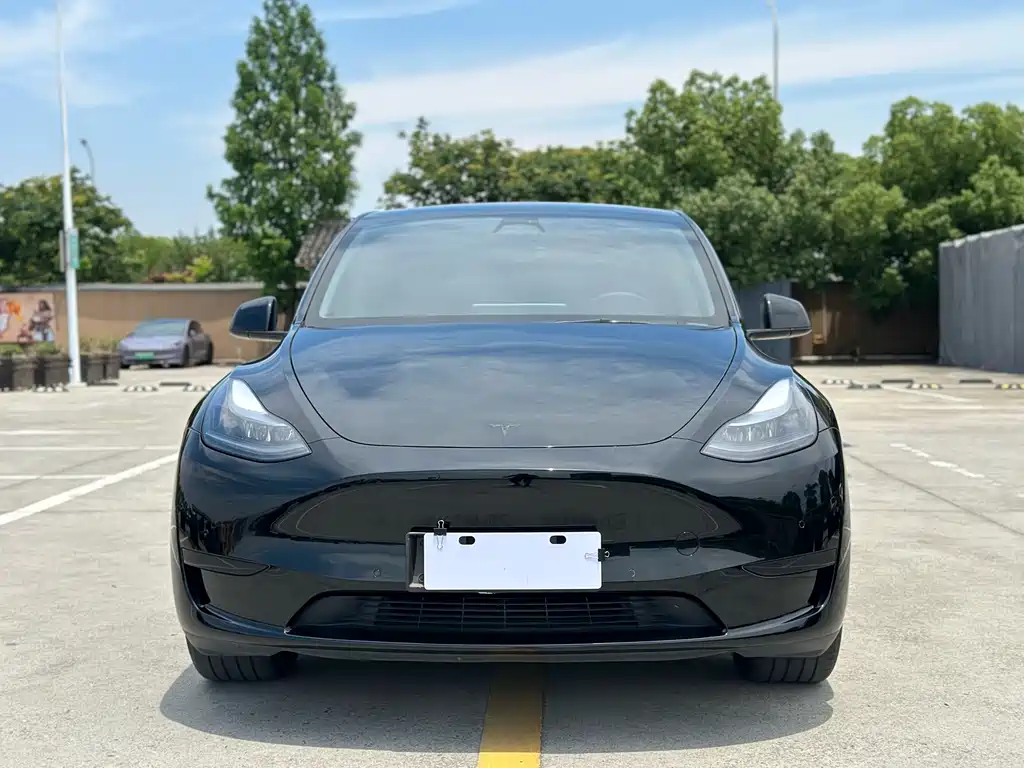 Tesla Model Y 2024 — фото 2