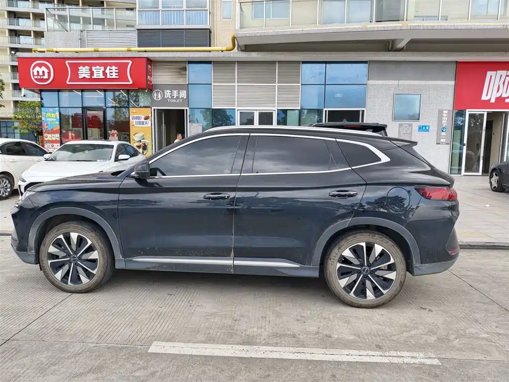 BYD PLUS New Energy 2024 — фото 9