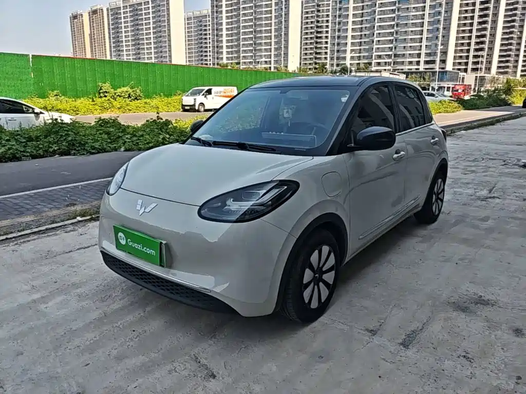 Wuling Bingo 2024
