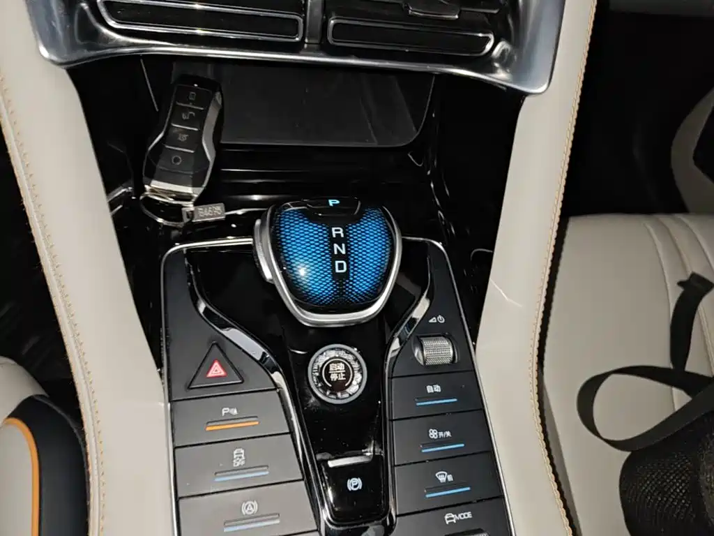 BYD PLUS New Energy 2023 — фото 14
