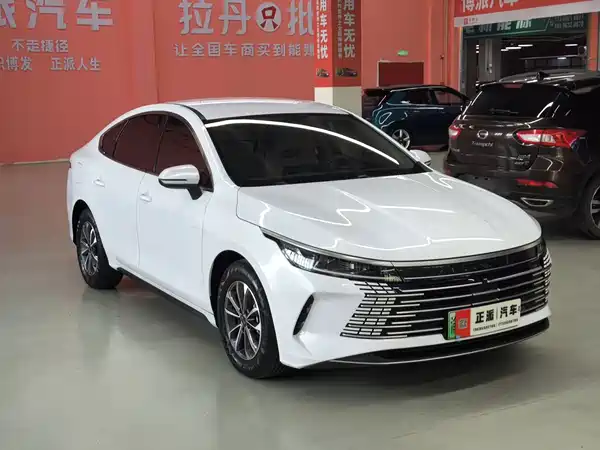 BYD Destroyer 05 2024