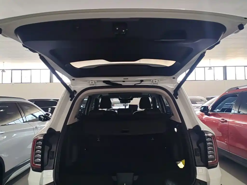 Haval Big Dog 2022 — фото 19