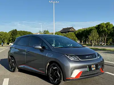 BYD Dolphin 2021
