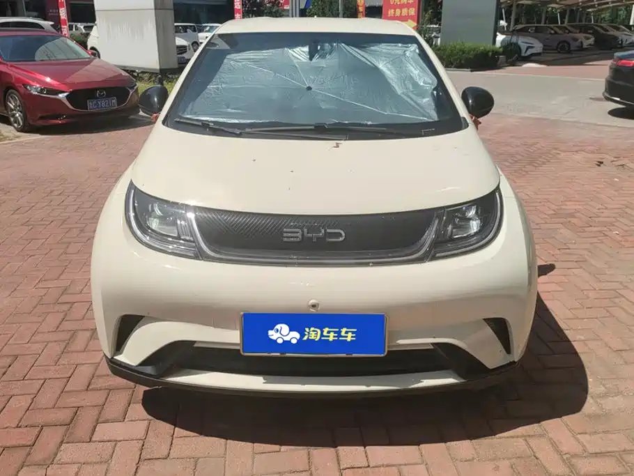 BYD Dolphin 2025