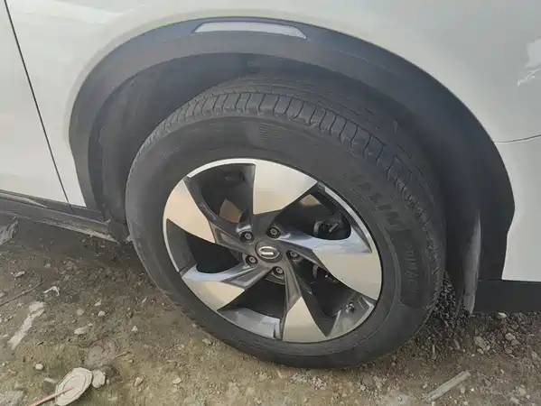 GAC Trumpchi GS8 2020
