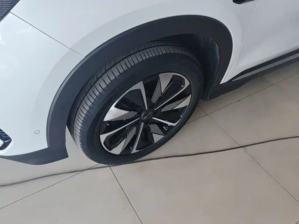 BYD PLUS New Energy 2025 — фото 23