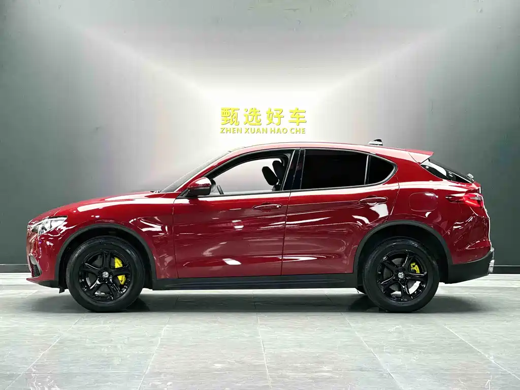 Alfa Romeo Stelvio 2019 — фото 3