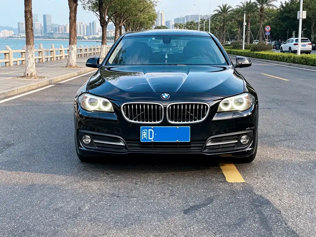 BMW 5 Series 2015 — фото 3