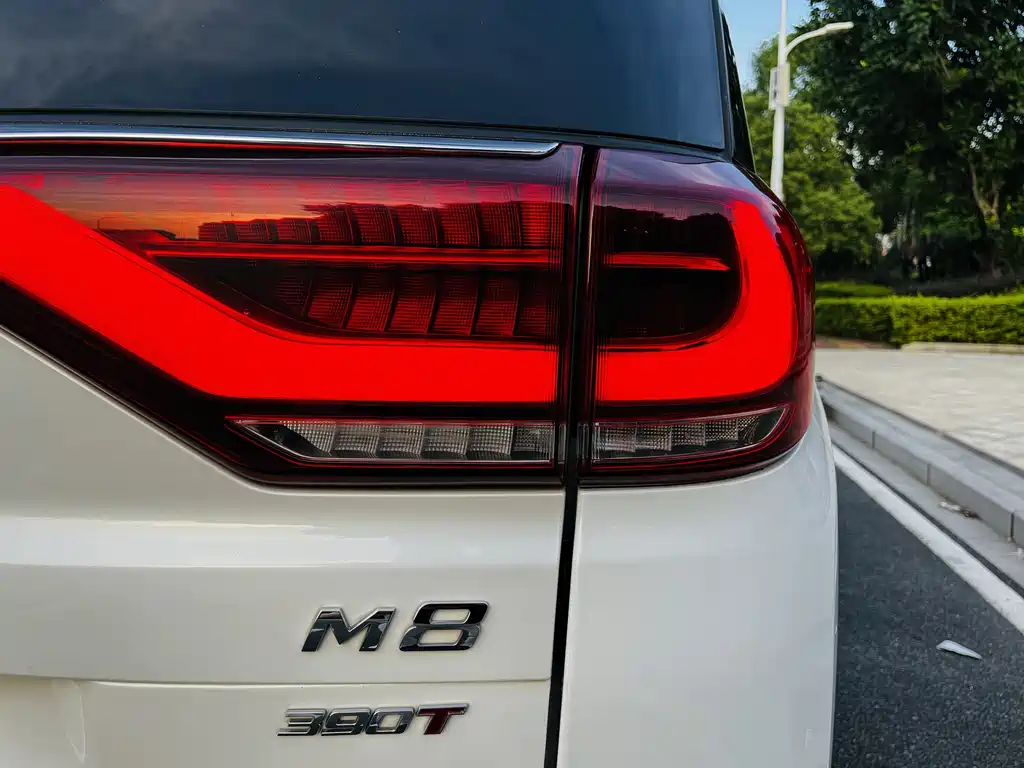 GAC Motor Trumpchi M8 2021 — фото 14