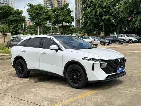 Venucia Big V 2022