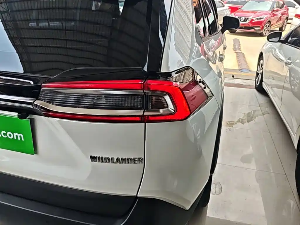 Toyota Wildlander 2020 — фото 8