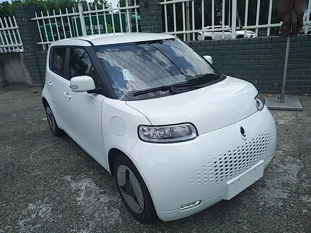 Ora White Cat 2020