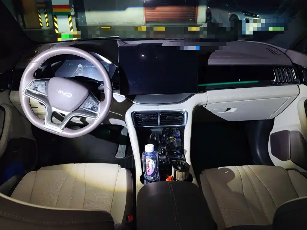 BYD Song PLUS New Energy 2024 — фото 10