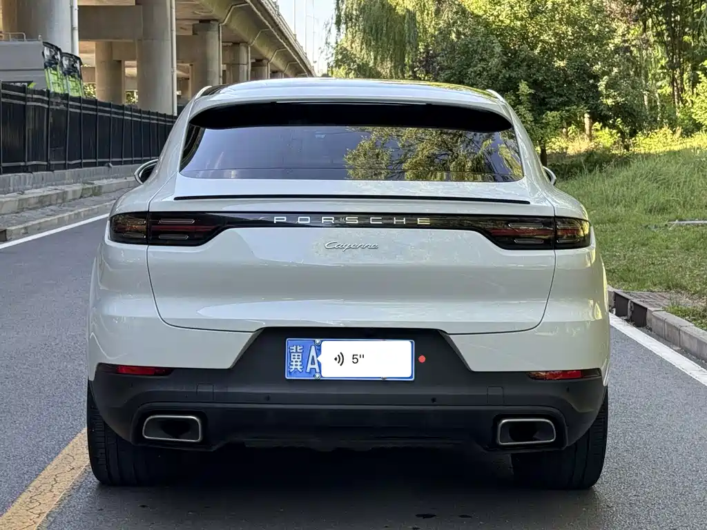 Porsche Cayenne 2022 — фото 17