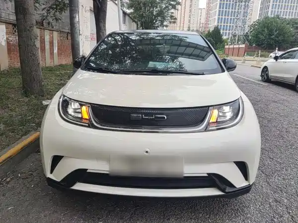 BYD Dolphin 2023