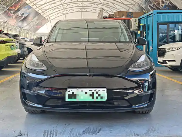 Tesla Model Y 2021