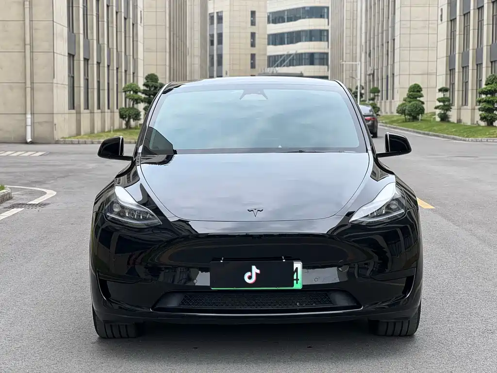 Tesla Model Y 2023 — фото 2
