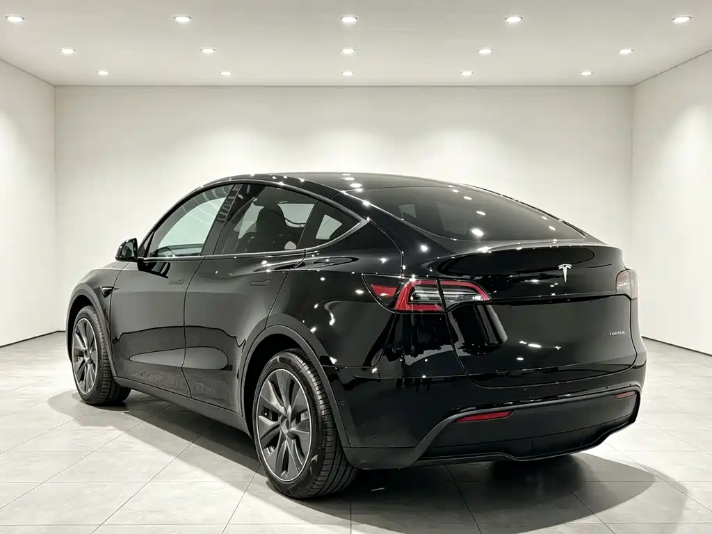 Tesla Model Y 2023 — фото 13