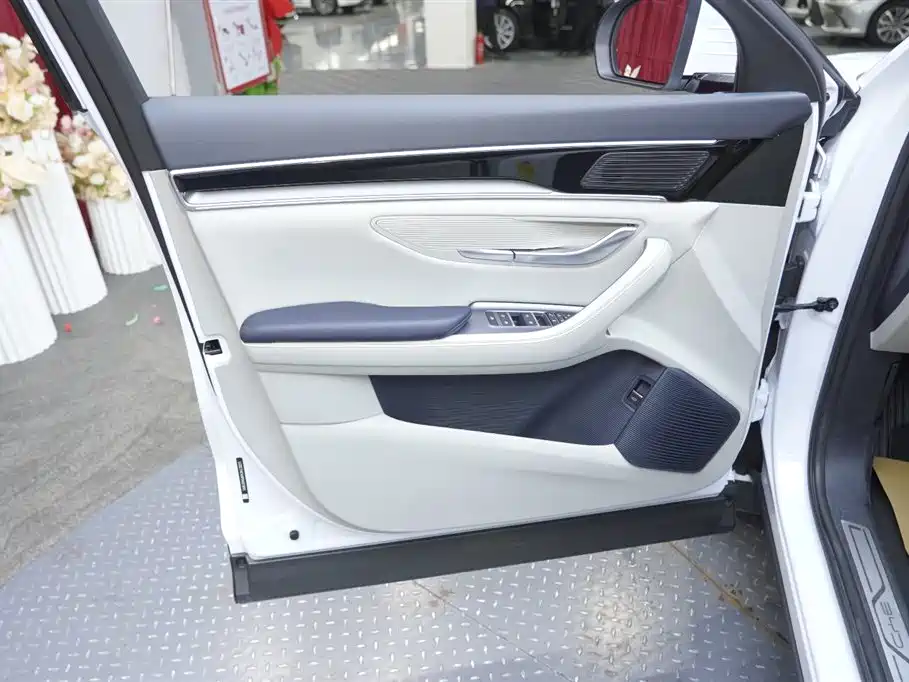 BYD PLUS New Energy 2023 — фото 17