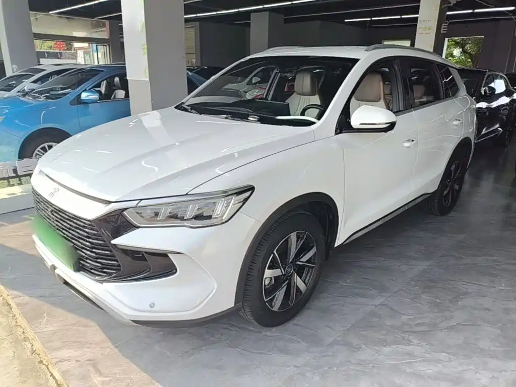 BYD Song Pro New Energy 2024 — фото 1