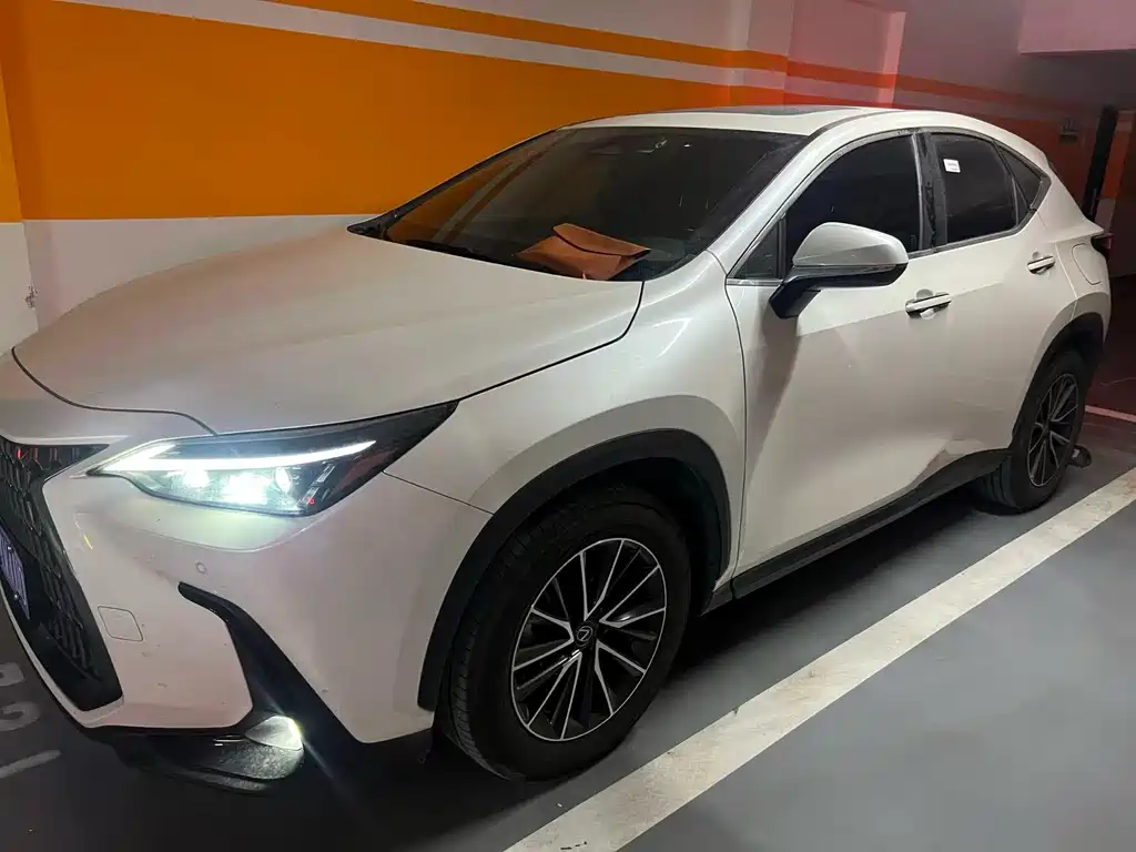 Lexus NX 2024 — фото 1