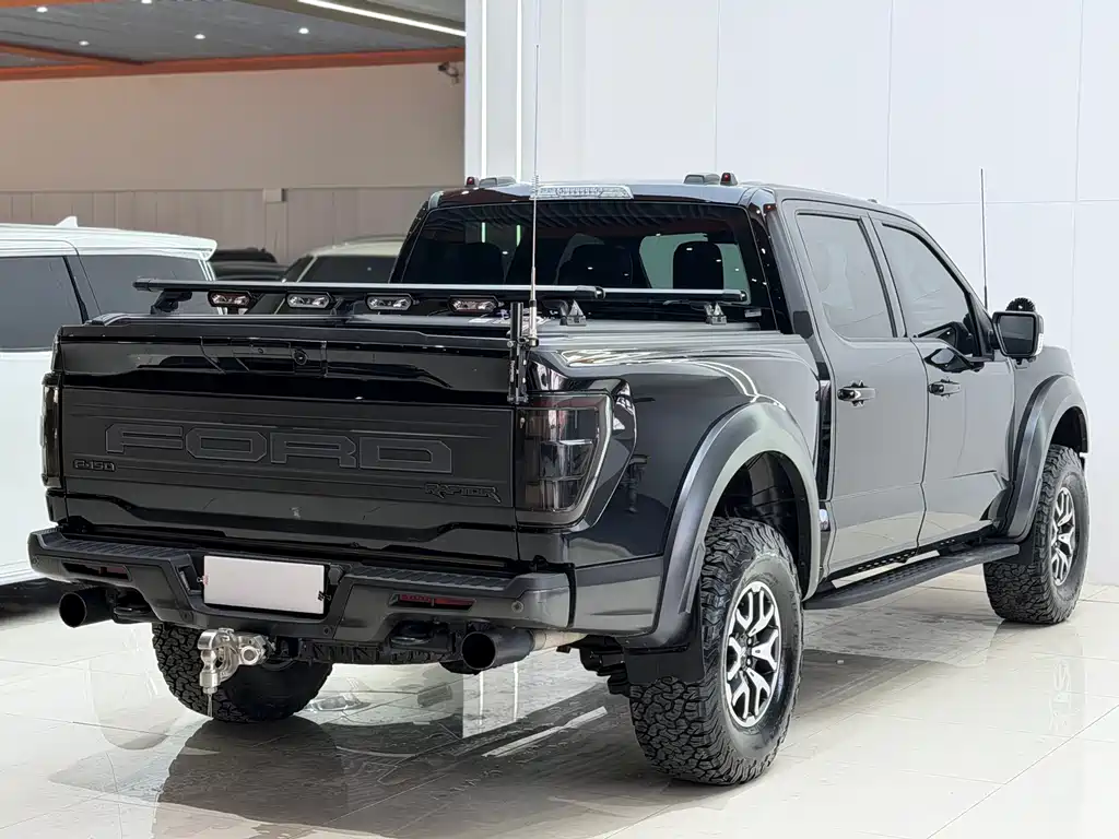 Ford F-150 Raptor 2024 — фото 14