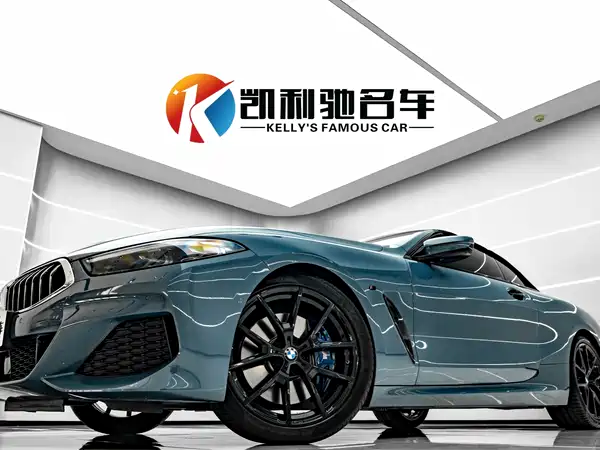 BMW 8 Series 2019