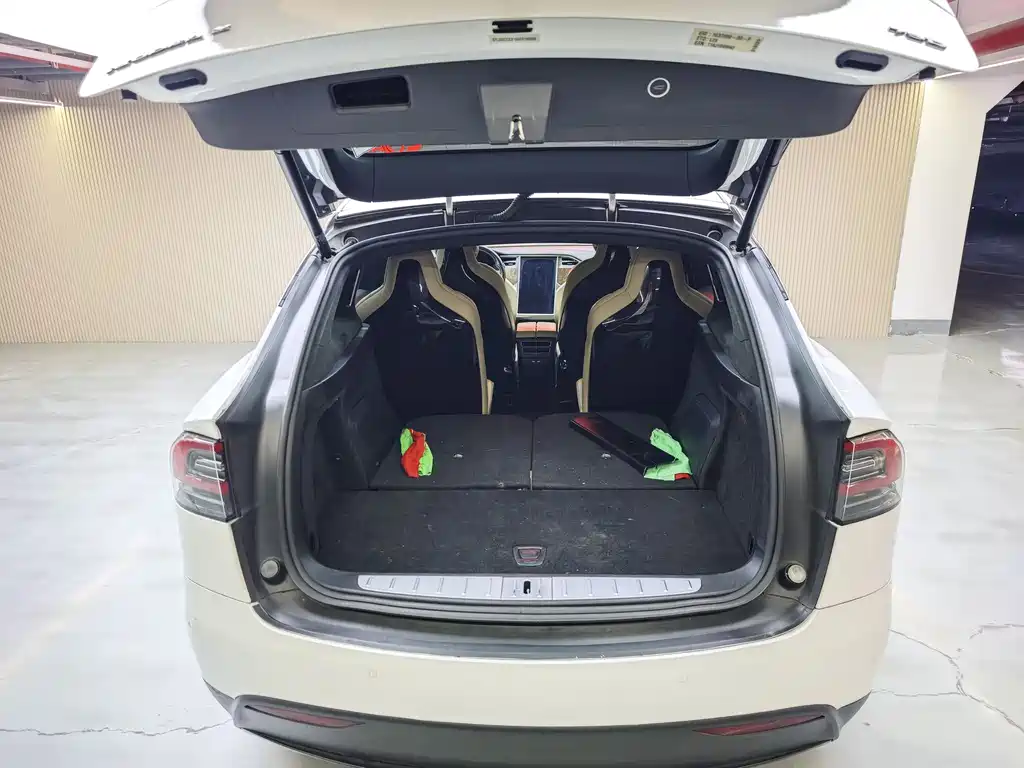 Tesla Model X 2017 — фото 15