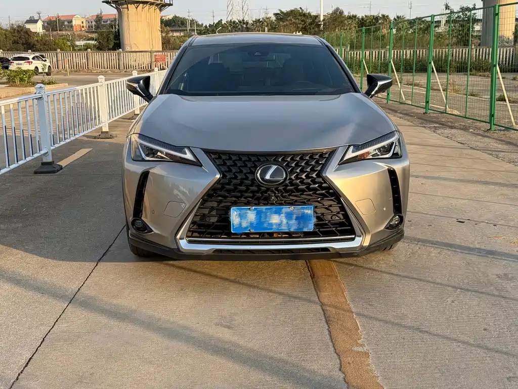 Lexus UX 2020 — фото 2