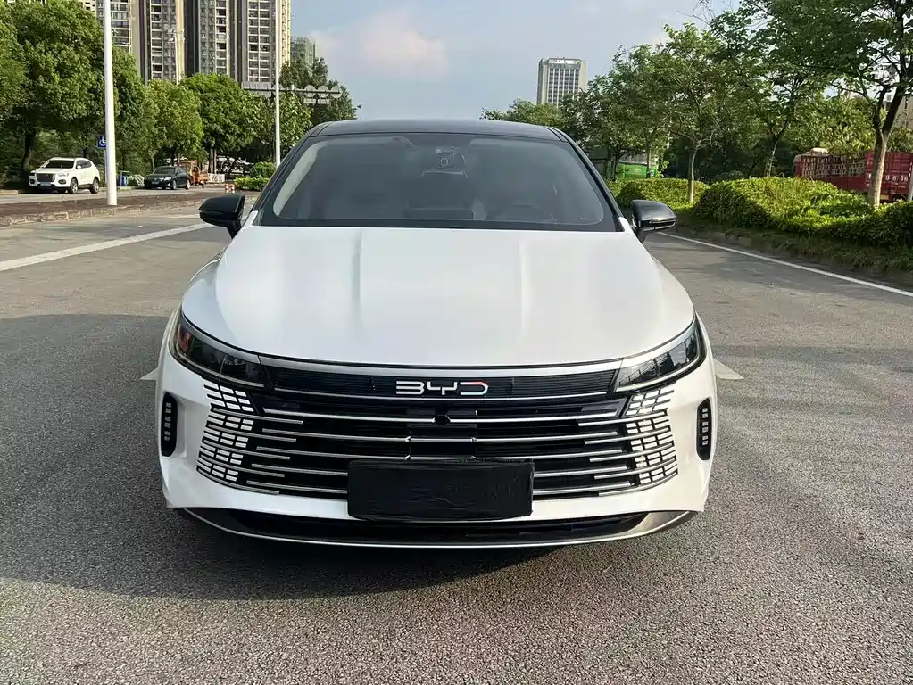 BYD Destroyer 05 2024 — фото 2