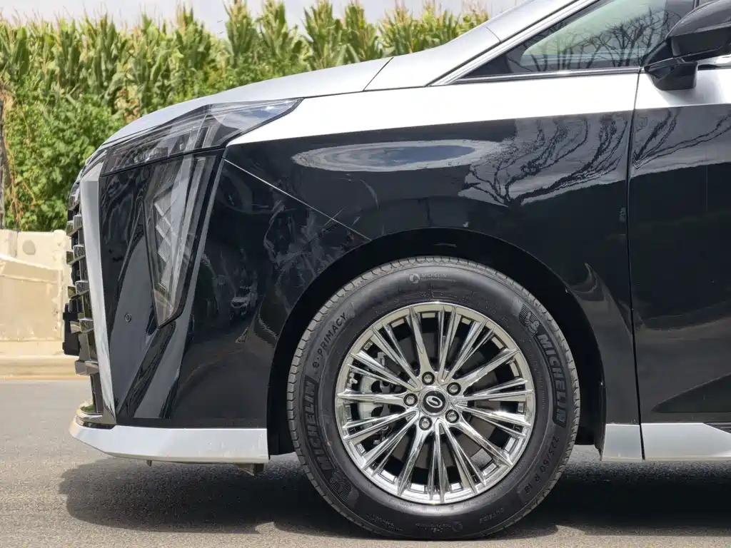 GAC Trumpchi Xiangwang M8 2025 — фото 8