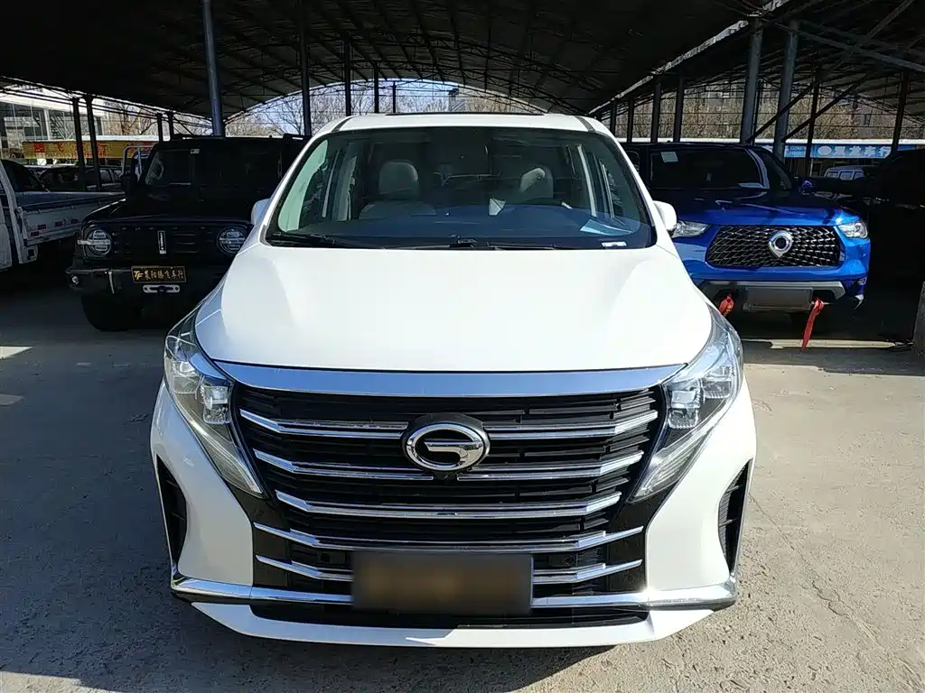 GAC Motor Trumpchi M8 2022 — фото 19