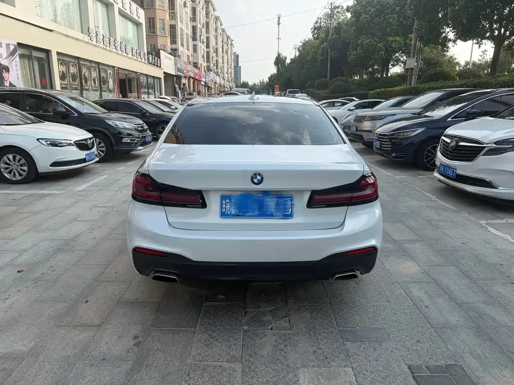 BMW 5 Series 2019