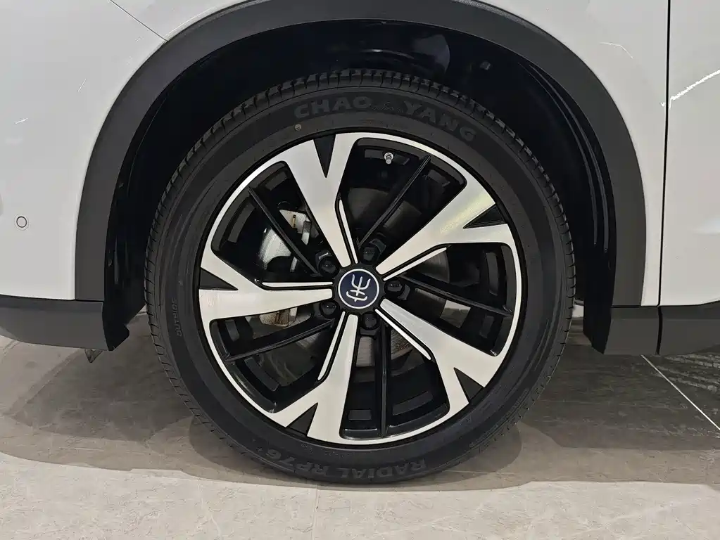 BYD Song Pro New Energy 2025 — фото 16