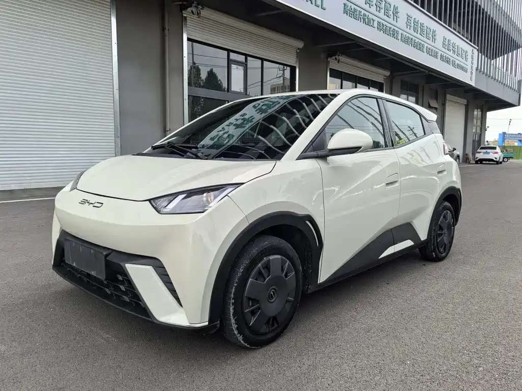 BYD Seagull 2024