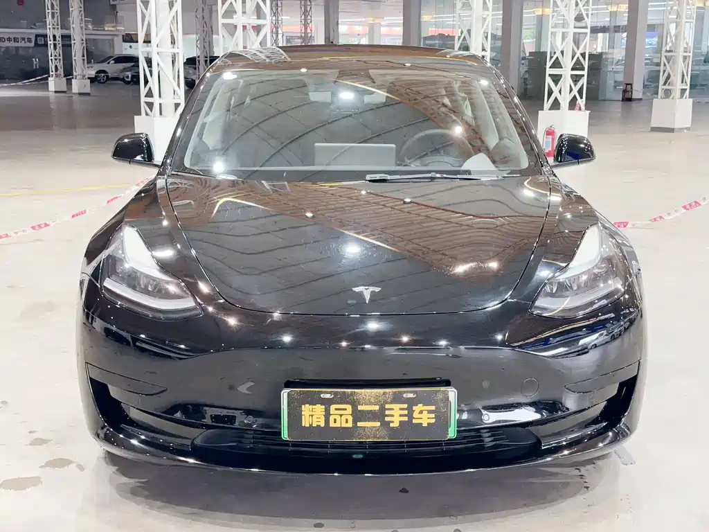 Tesla Model 3 2021 — фото 2