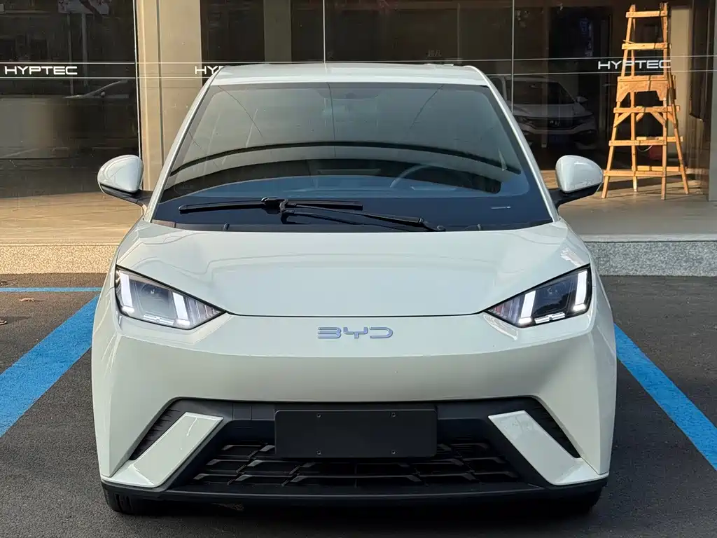BYD Seagull 2024