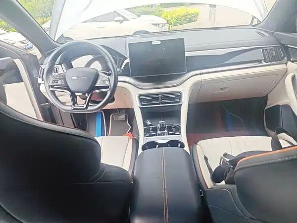BYD Song PLUS New Energy 2024